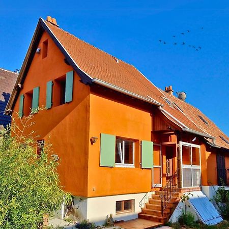 Beau Logement Au Centre D'Alsace Epfig Екстер'єр фото